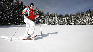 Fischbacher Winterwälder