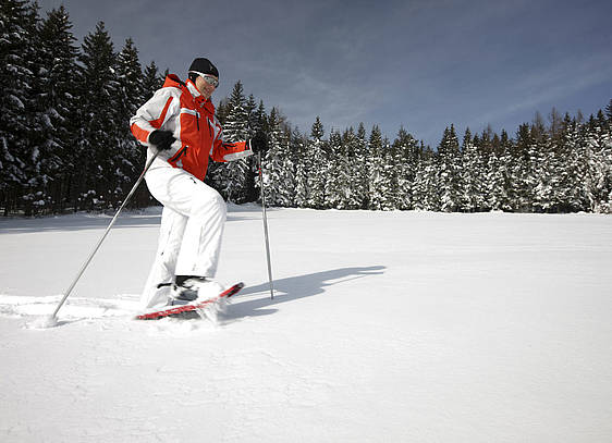 Schneeschuhwandern in Fischbach (c) Steiermark Tourismus Schiffer Symbol