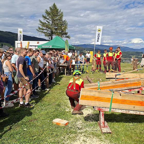 Bezirksforstwettbewerb der Landjugend
