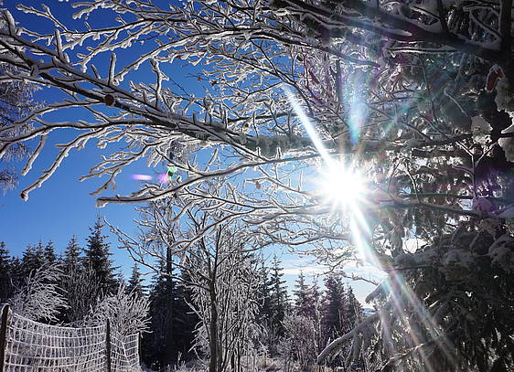 Sonnenstrahlen im Winter