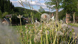 Zur Ägydiuskapelle und nach Oberdissau