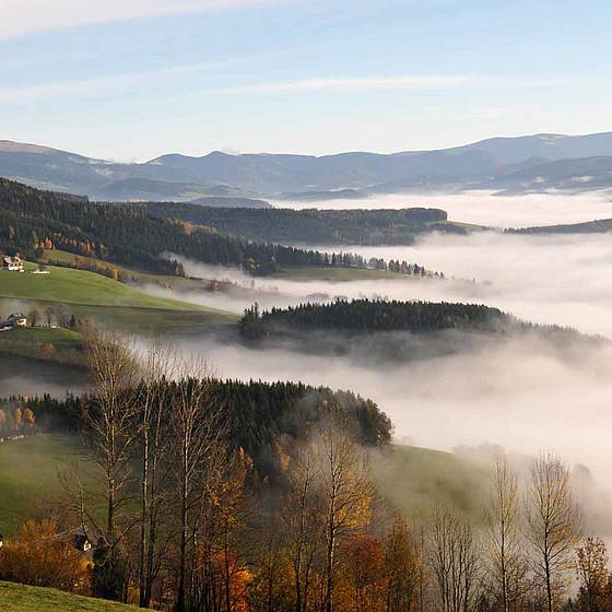 Herbstlicher Nebel