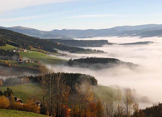 Herbstlicher Nebel