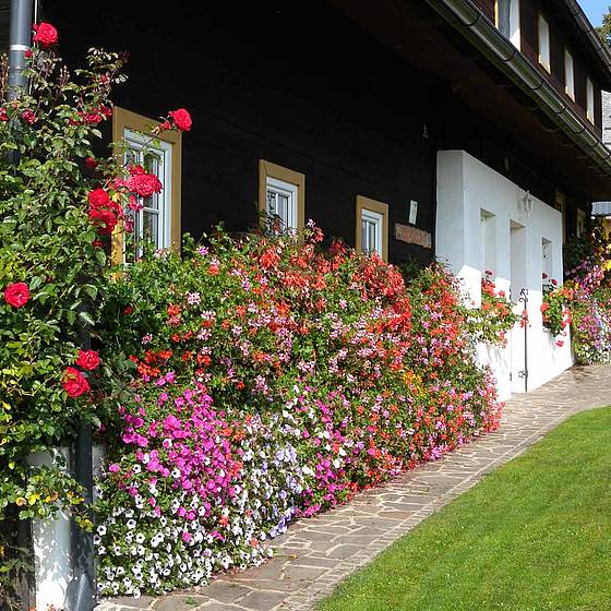 Riedlerhof geschmückt mit Blumen
