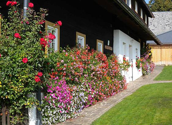 Riedlerhof geschmückt mit Blumen