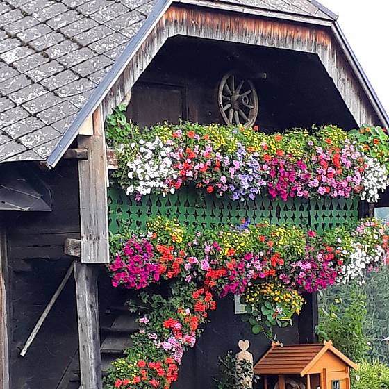 Blumenschmuck beim Riedlerhof