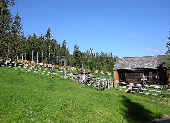 Untere Halterhütte