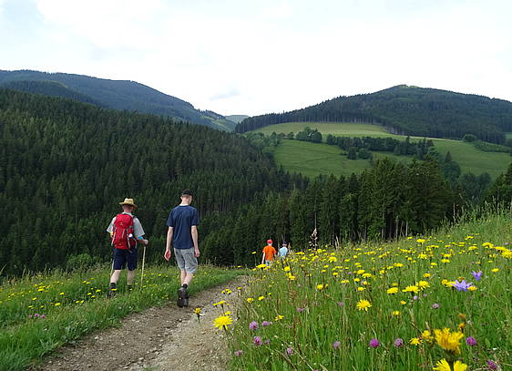 Zur herrnalm über Feslbauer