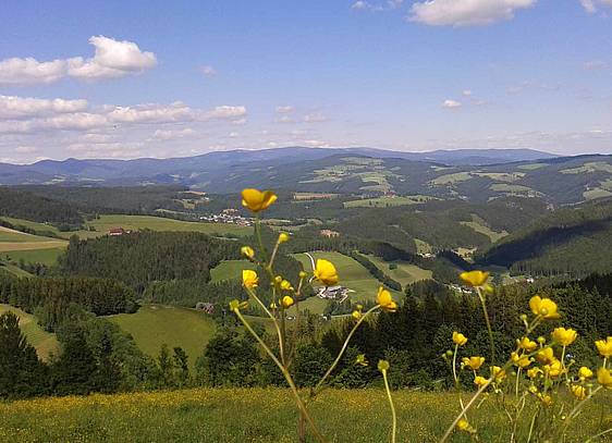 Alpenpanorama in Fischbach