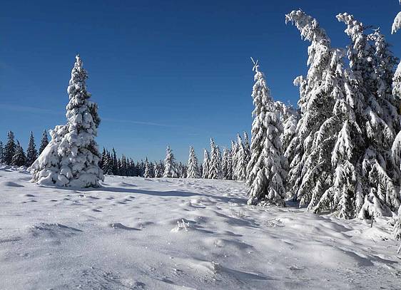 Schnee am Teufelstein