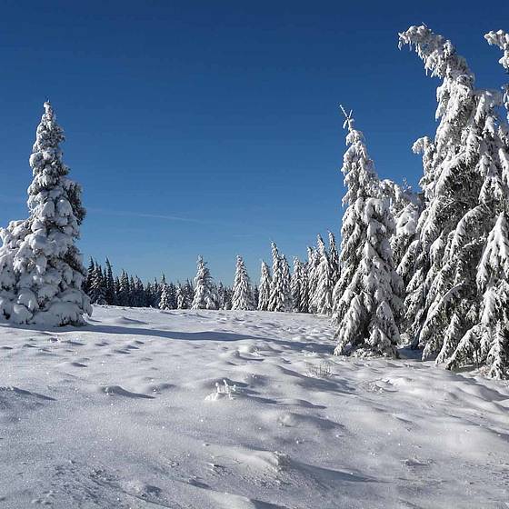 Schnee am Teufelstein
