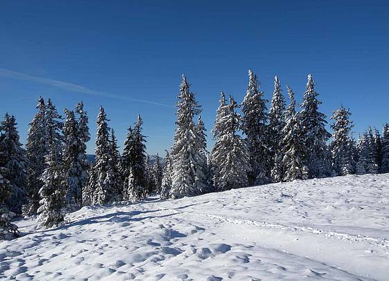 Wanderung auf den Teufelstein