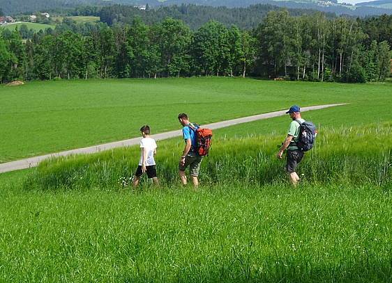 Wandern in Waisenegg