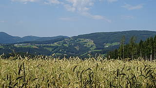 Rund um Falkenstein