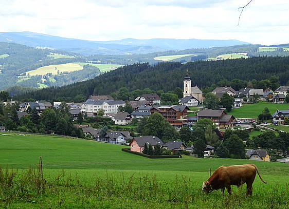 Aussicht von der Riedler Höhe 