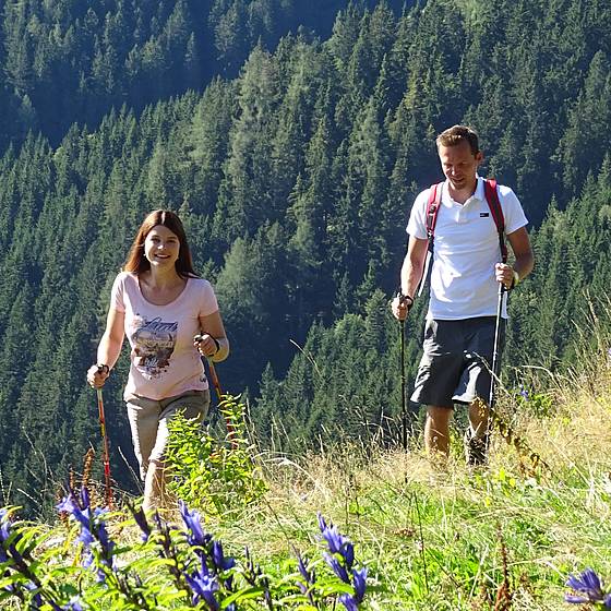 Wandern in Fischbach