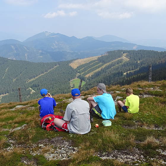 Aussicht am Stuhleck