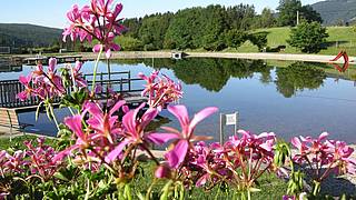 Naturbadeteich in Fischbach