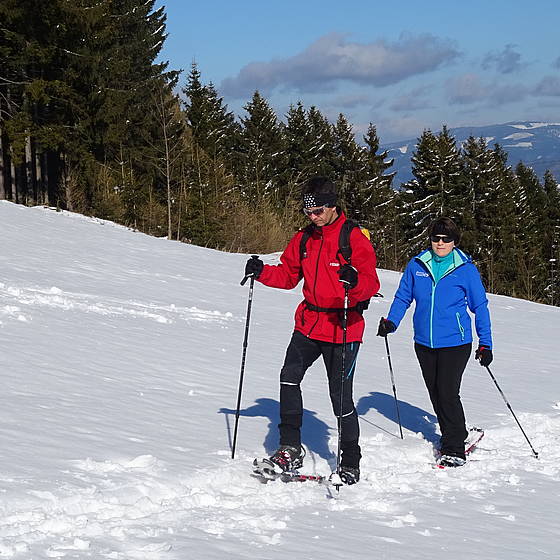 Schneeschuhwandern in Fischbach