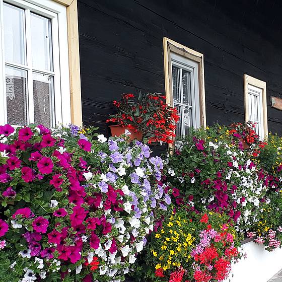 Blumenschmuck beim Riedlerhof